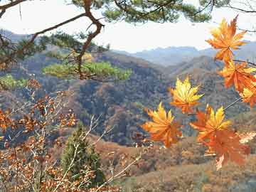 錢幣市場最新價格表深度解析及未來趨勢預(yù)測
